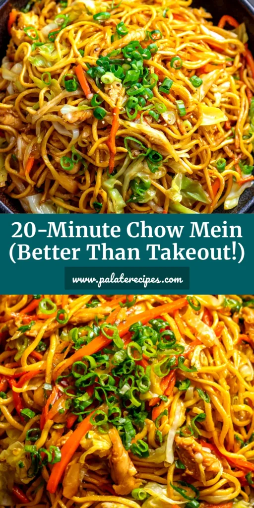 Chow Mein Recipe (Better Than Takeout!) 5 A vibrant and delicious homemade Chow Mein Recipe served in a white bowl with chopsticks. The stir-fried noodles are mixed with chicken, carrots, and cabbage.